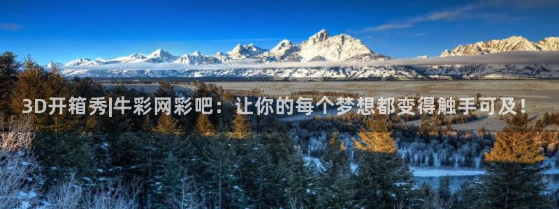 3D开箱秀|牛彩网彩吧：让你的每个梦想都变得触手可及！