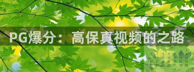 彩客网比分即时比分结果查询：PG爆分：高保真视频的之路